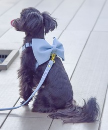 ONEKOSAMA OINUSAMA（おねこさま・おいぬさま） 犬 ハーネス リード