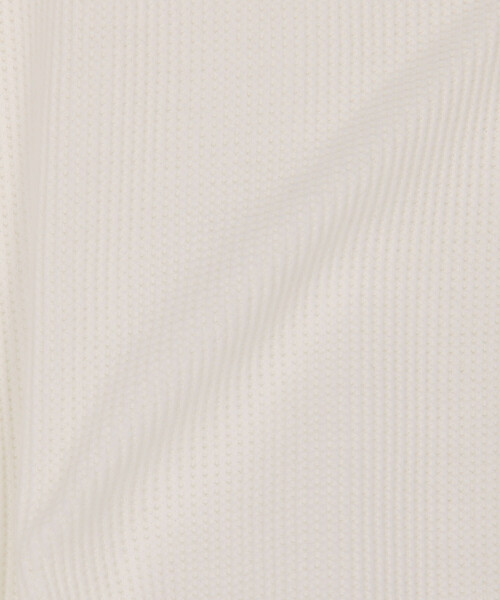 tシャツ 限定展開 Hanes/ヘインズ BEEFY サーマルクルーネックロングスリーブ / HM4-Q103 メンズ | FREAK'S STORE | 10