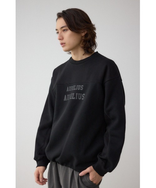 AZUL BY MOUSSY（アズールバイマウジー） トレーナー スウェット 裏