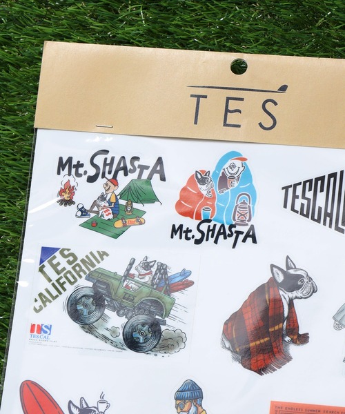 The Endless Summer ステッカー TES × POP FIRE A4 STICKER