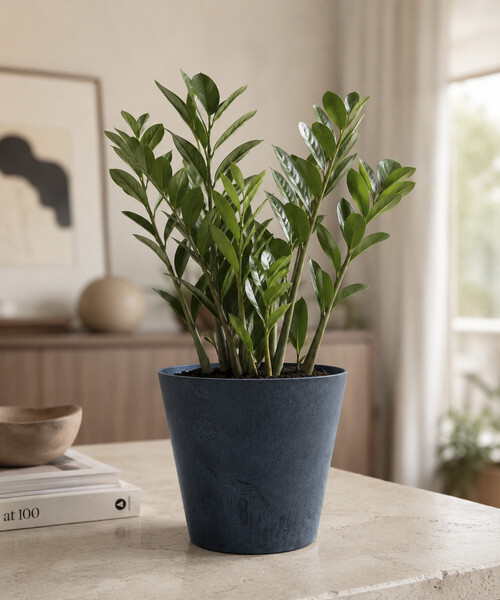 amabro（アマブロ） 花瓶 ART STONE(S) : ZOZOTOWN Yahoo!店 - 通販