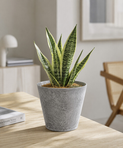 amabro（アマブロ） 花瓶 ART STONE(S) : ZOZOTOWN Yahoo!店 - 通販
