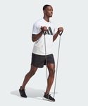 tシャツ トレイン エッセンシャルズ Feel...の詳細画像4