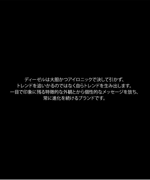 腕時計 ディーゼル 腕時計 メンズ アナログ ステンレス DZ7484 メンズの画像