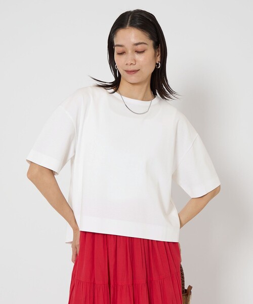 tシャツ クロップド ポンチ Ｔシャツ レディース