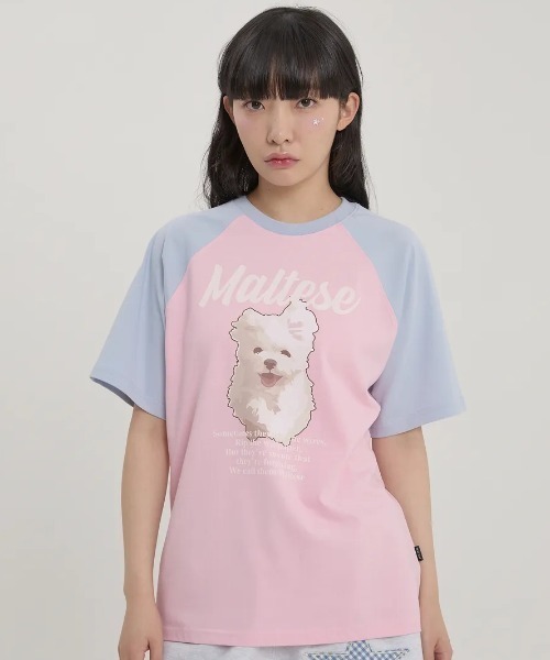tシャツ A'GEM/9 × .kom 「WaiKei/ワイケイ」ルムイラストレーションラグランハーフスリーブTシャツ レディース メンズ WaiKei tシャツ A'GEM/9 × .kom 「WaiKei/ワイケイ」ルム