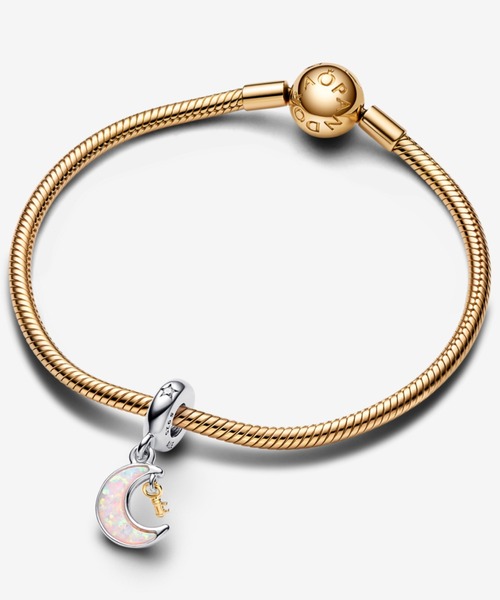 「Pandora」 チャーム FREE シルバー×ゴールド レディース_画像7