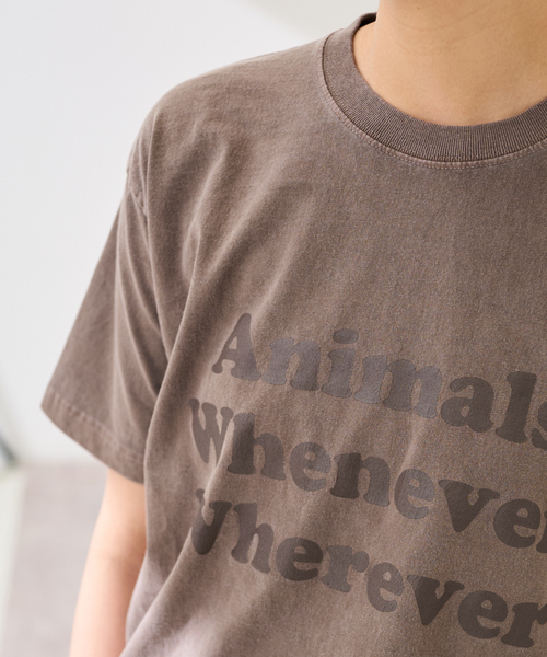 FRAMeWORK フレームワーク 別注 Tシャツ 茶 ブラウン トラ タイガー FRAMeWORK（フレームワーク）Tシャツ・カットソー 茶 サイズ:F