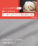 ショーツ 「綿の贅沢オーガニック」ショーツの詳細画像4
