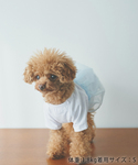 犬 服 「DOG」重ねチュールワンピースの詳細画像1