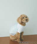 犬 服 「DOG」重ねチュールワンピースの詳細画像2
