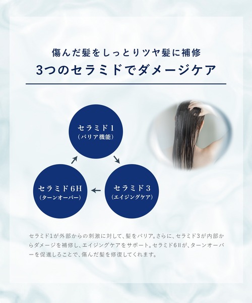 H＆ シャンプー アッシュアンド シャンプー＆トリートメントセット