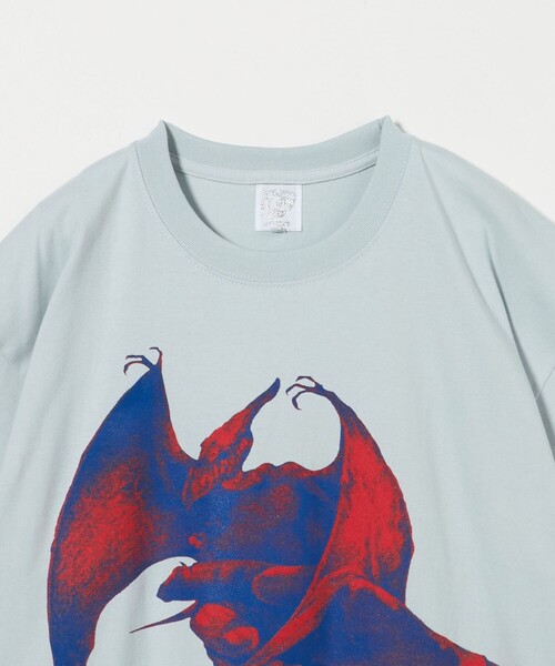 BEAUTY&amp;YOUTH UNITED ARROWS - 【tarotaroさん専用】OLD MOUNTAIN 別注】＜TARZANA＞ FALCON Tシャツ