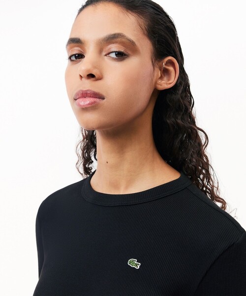 tシャツ ワンポイントリブニットスリムセーター レディース LACOSTE tシャツ ワンポイントリブニットスリムセーター