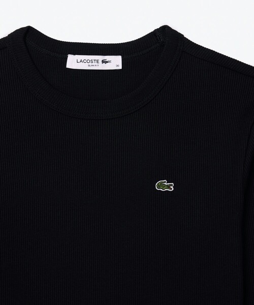 tシャツ ワンポイントリブニットスリムセーター レディース LACOSTE tシャツ ワンポイントリブニットスリムセーター