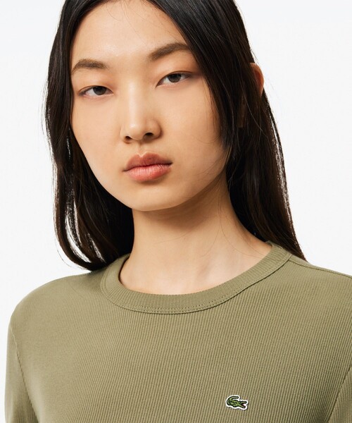 tシャツ ワンポイントリブニットスリムセーター レディース LACOSTE tシャツ ワンポイントリブニットスリムセーター