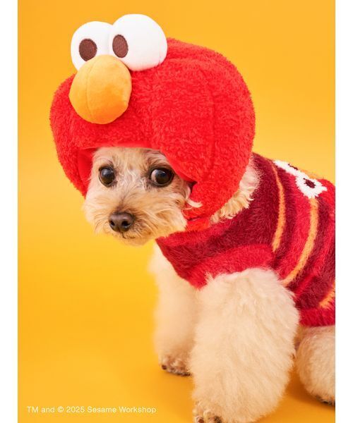 SESAME STREET（セサミストリート） 犬 服 「DOG」ヘッドアクセサリー