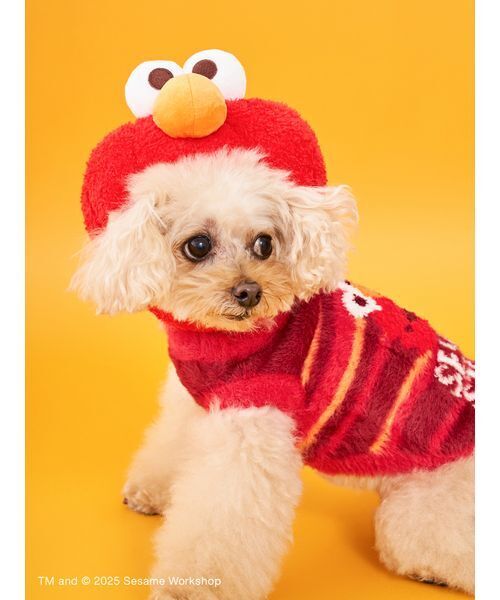 SESAME STREET（セサミストリート） 犬 服 「DOG」ヘッドアクセサリー