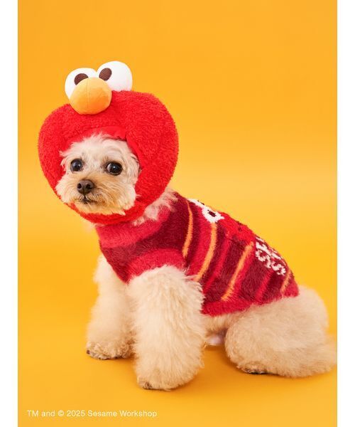 SESAME STREET（セサミストリート） 犬 服 「DOG」ヘッドアクセサリー