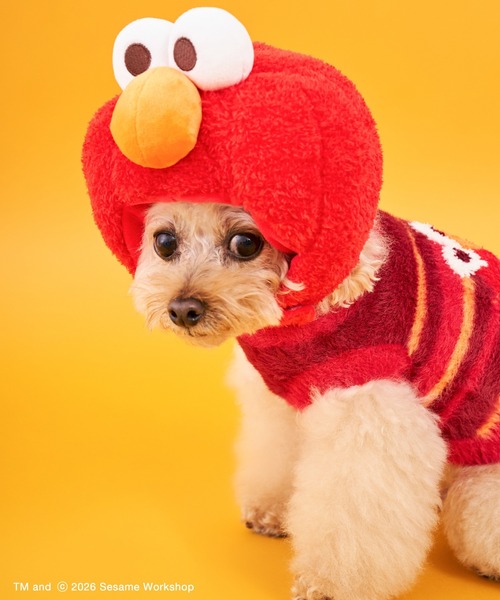 犬服・アクセサリー Roppongi Biz Store SESAME STREET（セサミストリート） 犬 服 「DOG」ヘッドアクセサリー
