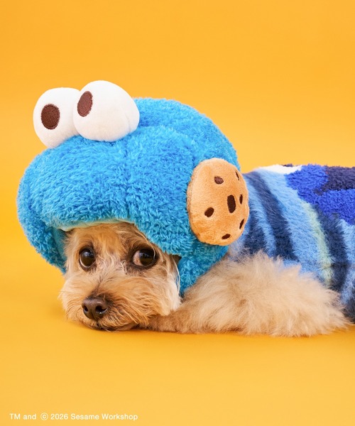 SESAME STREET（セサミストリート） 犬 服 「DOG」ヘッドアクセサリー