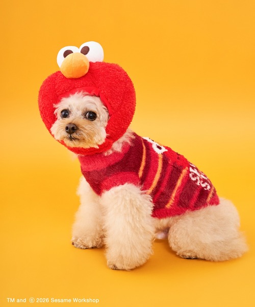 SESAME STREET（セサミストリート） 犬 服 「DOG」ヘッドアクセサリー