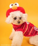 犬 服 「DOG」ヘッドアクセサリーの詳細画像4
