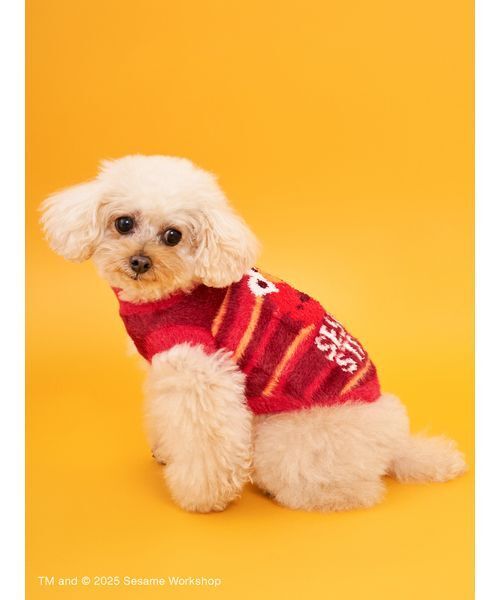 SESAME STREET（セサミストリート） 犬 服 「DOG」ジャガードニット