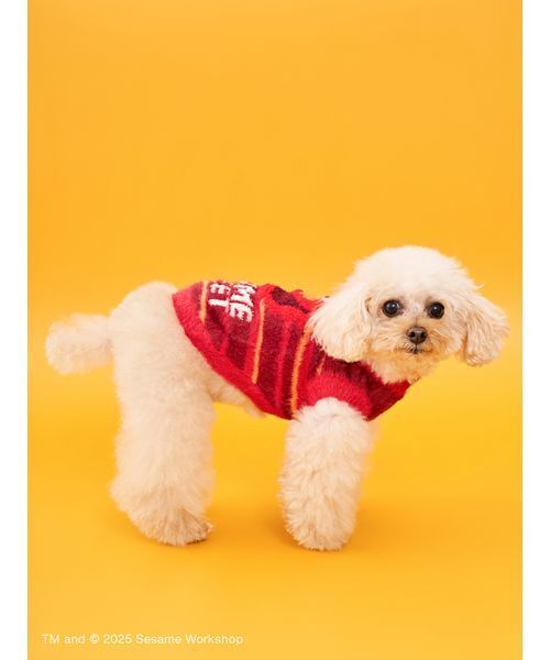 SESAME STREET（セサミストリート） 犬 服 「DOG」ジャガードニット