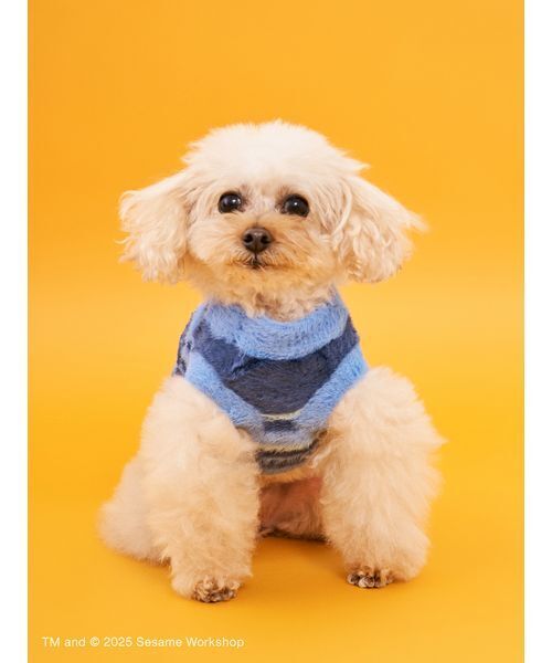 SESAME STREET（セサミストリート） 犬 服 「DOG」ジャガードニット