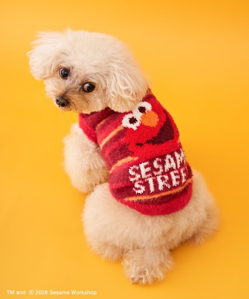 SESAME STREET（セサミストリート） 犬 服 「DOG」ジャガードニット