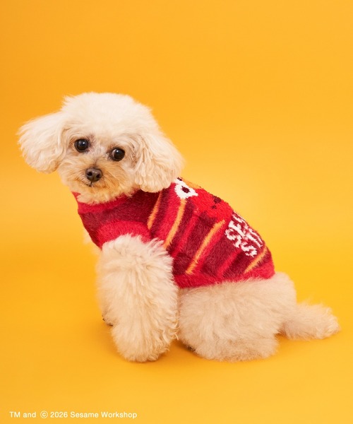 SESAME STREET（セサミストリート） 犬 服 「DOG」ジャガードニット