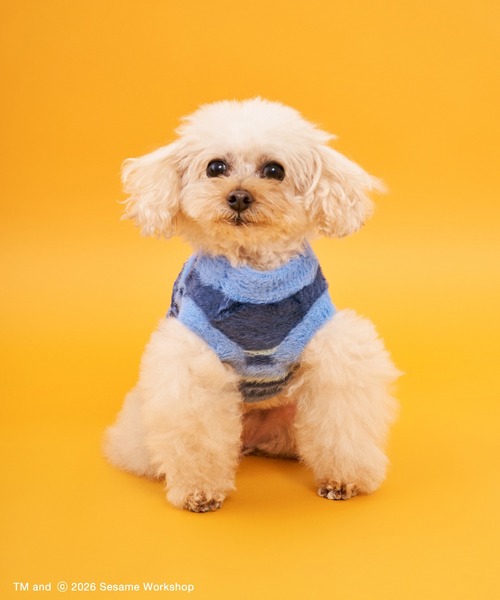 SESAME STREET（セサミストリート） 犬 服 「DOG」ジャガードニット