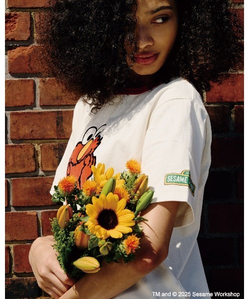 tシャツ 「SESAME STREET meets AVIREX」RINGER T-SHIRT レディース SESAME STREET tシャツ 「SESAME meets AVIREX」RINGER T-SHIRT