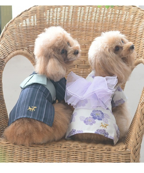 ROPE' PICNIC（ロペ ピクニック） 犬 服 ROPE' PICNIC/花柄浴衣