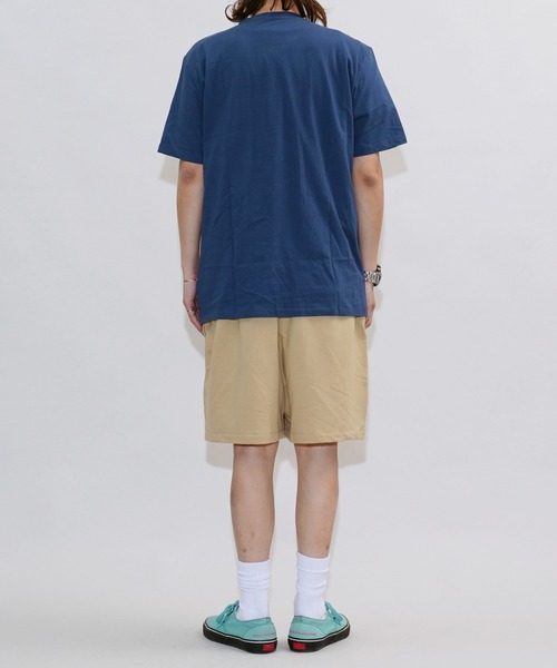 THE NORTH FACE tシャツ 「 海外流通モデル 」THE / ノース