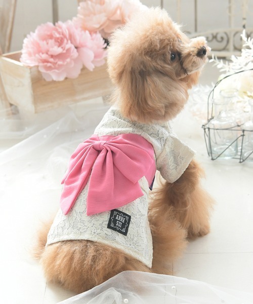 ANNA SUI（アナスイ） 犬 服 ANNA SUI/レース浴衣 : ZOZOTOWN Yahoo!店