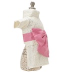 犬 服 ANNA SUI/レース浴衣の詳細画像4