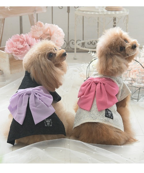 最終お値下げ　犬服　ANNA SUI 蝶デザイン浴衣２着セット　サイズ２L ANNA SUI（アナスイ） 犬 服 ANNA SUI/レース浴衣 : ZOZOTOWN Yahoo!店