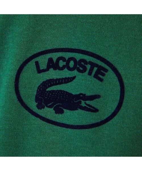 [LACOSTE] короткий рукав футболка 38 бледно-розовый женский 