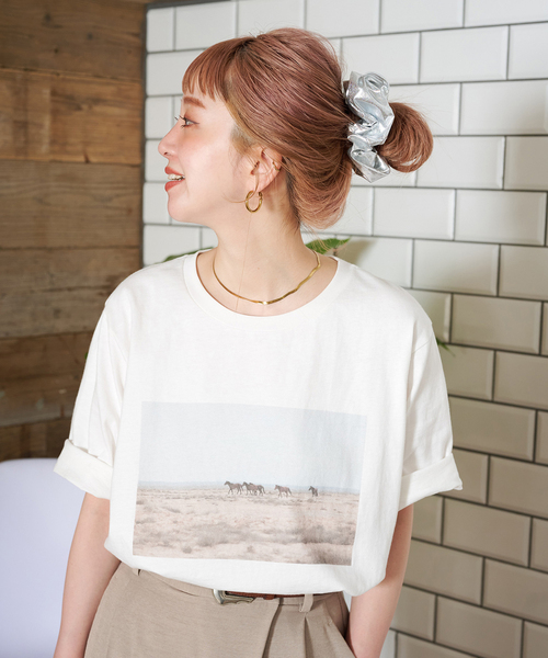 tシャツ ウォッシャブル / Gleamy/グリーミー PHOTO Tシャツ レディース B.C STOCK tシャツ ウォッシャブル / Gleamy/グリーミー PHOTO T
