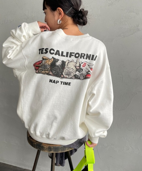 The Endless Summer（エンドレスサマー） トレーナー スウェット 別注