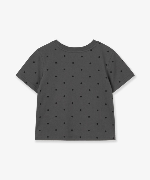 aeae tシャツ WEB LOGO DOT CROP T-SHIRTS レディース メンズ