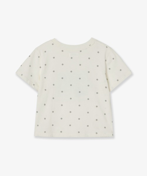 AEAE【送料込】WEB LOGO DOT CROP T-SHIRTS WEB LOGO DOT CROP T-SHIRTS [CHARCOAL] – aeae JAPAN