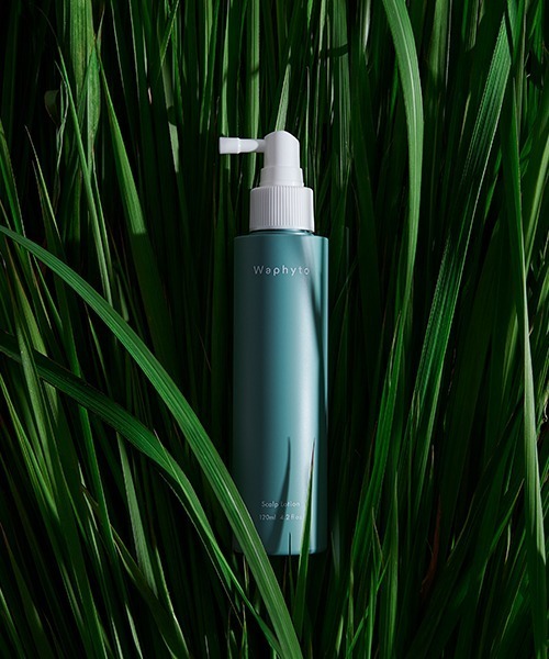 Waphyto（ワフィト） スキャルプローション 120mL : ZOZOTOWN Yahoo!店