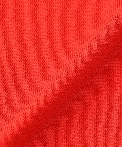 tシャツ 「WEB＆一部店舗限定」バッキンガムベア ワッペンクルーネックニット レディースの画像