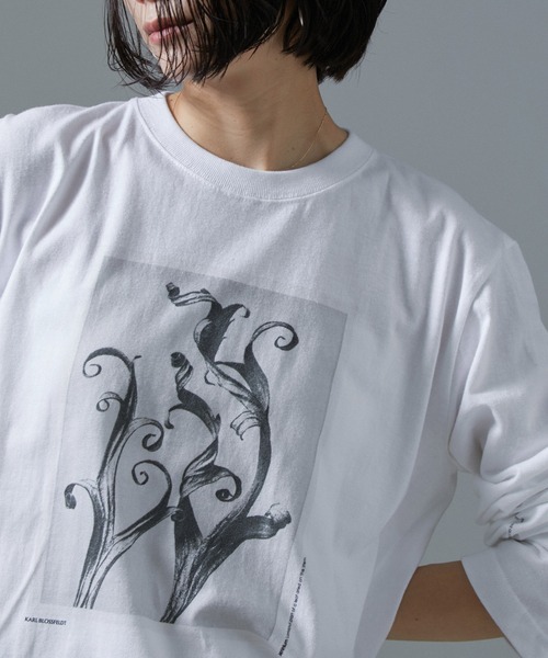 SALON adam et rope'（サロン アダム エ ロペ） tシャツ 「WEB限定