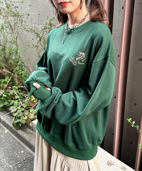 DOUBLE NAME ダブルネーム きょうりゅうずかん 恐竜 Tシャツ DOUBLE NAME（ダブルネーム） tシャツ みんなのきょうりゅうずかん