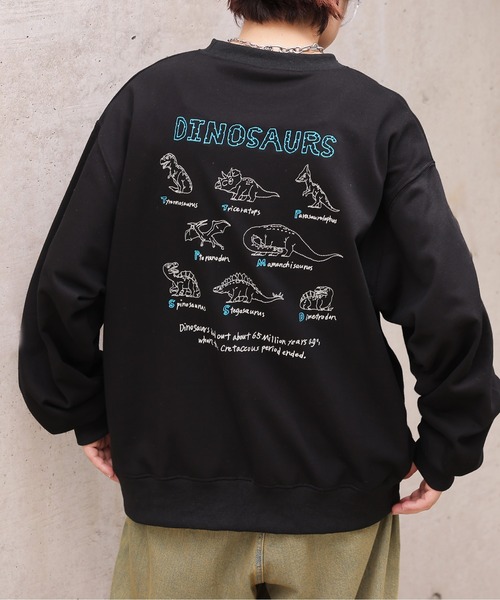 DOUBLE NAME ダブルネーム きょうりゅうずかん 恐竜 Tシャツ DOUBLE NAME（ダブルネーム） tシャツ みんなのきょうりゅうずかん