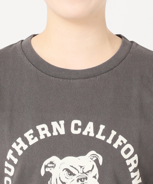 tシャツ MIXTA/ミクスタ　CREW NECK SO CAL DOG　Ｔシャツ レディース MIXTA tシャツ MIXTA/ミクスタ CREW NECK SO CAL DOG Tシャツ